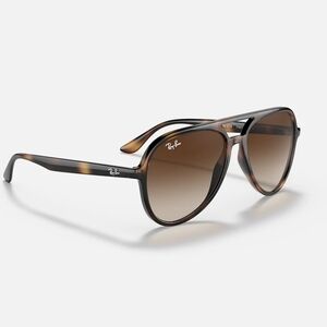 Ray-Ban Sunglasses RB4376